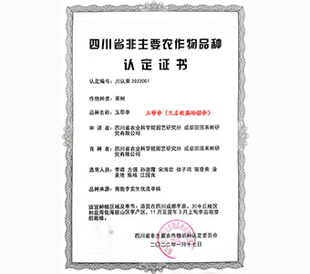 玉帶李認(rèn)定證書